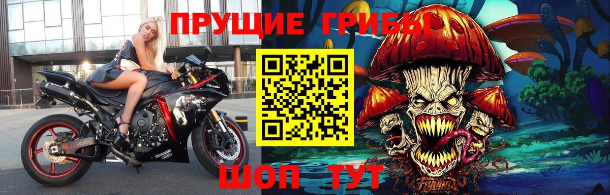 Галлюциногенные грибы Psilocybine cubensis Сызрань